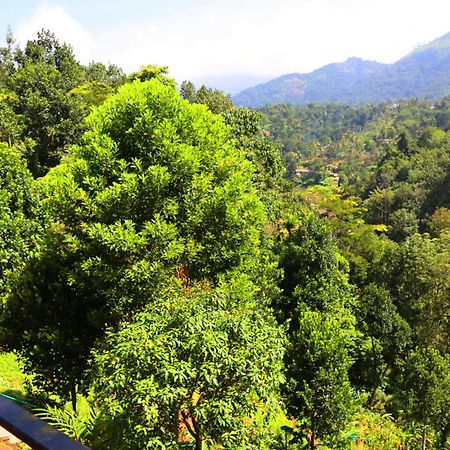 Green Magic Riverside Resort Munnar Esterno foto