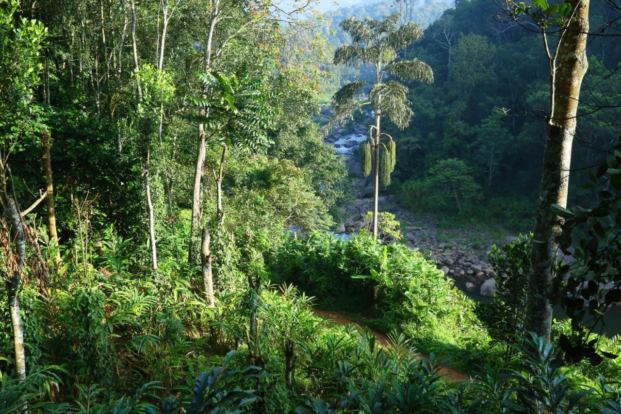Green Magic Riverside Resort Munnar Esterno foto