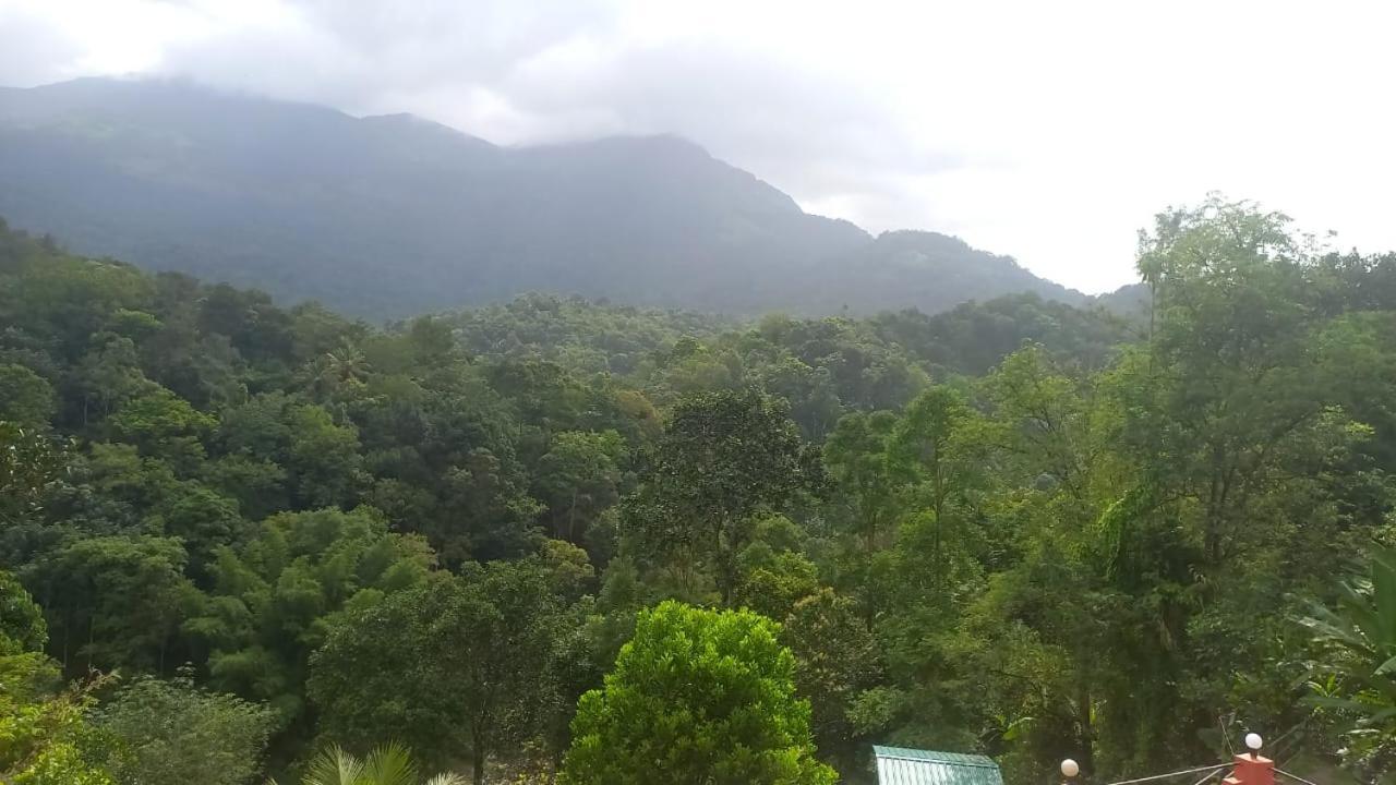 Green Magic Riverside Resort Munnar Esterno foto