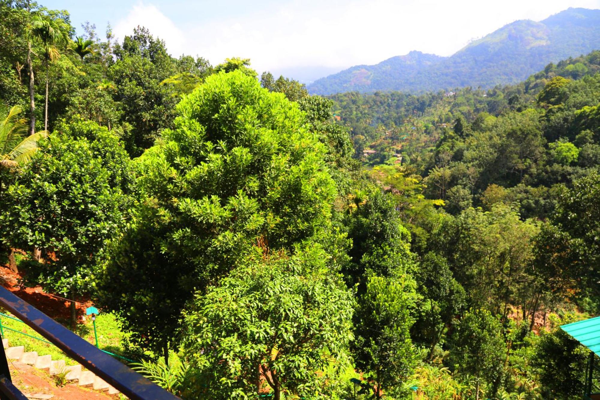 Green Magic Riverside Resort Munnar Esterno foto