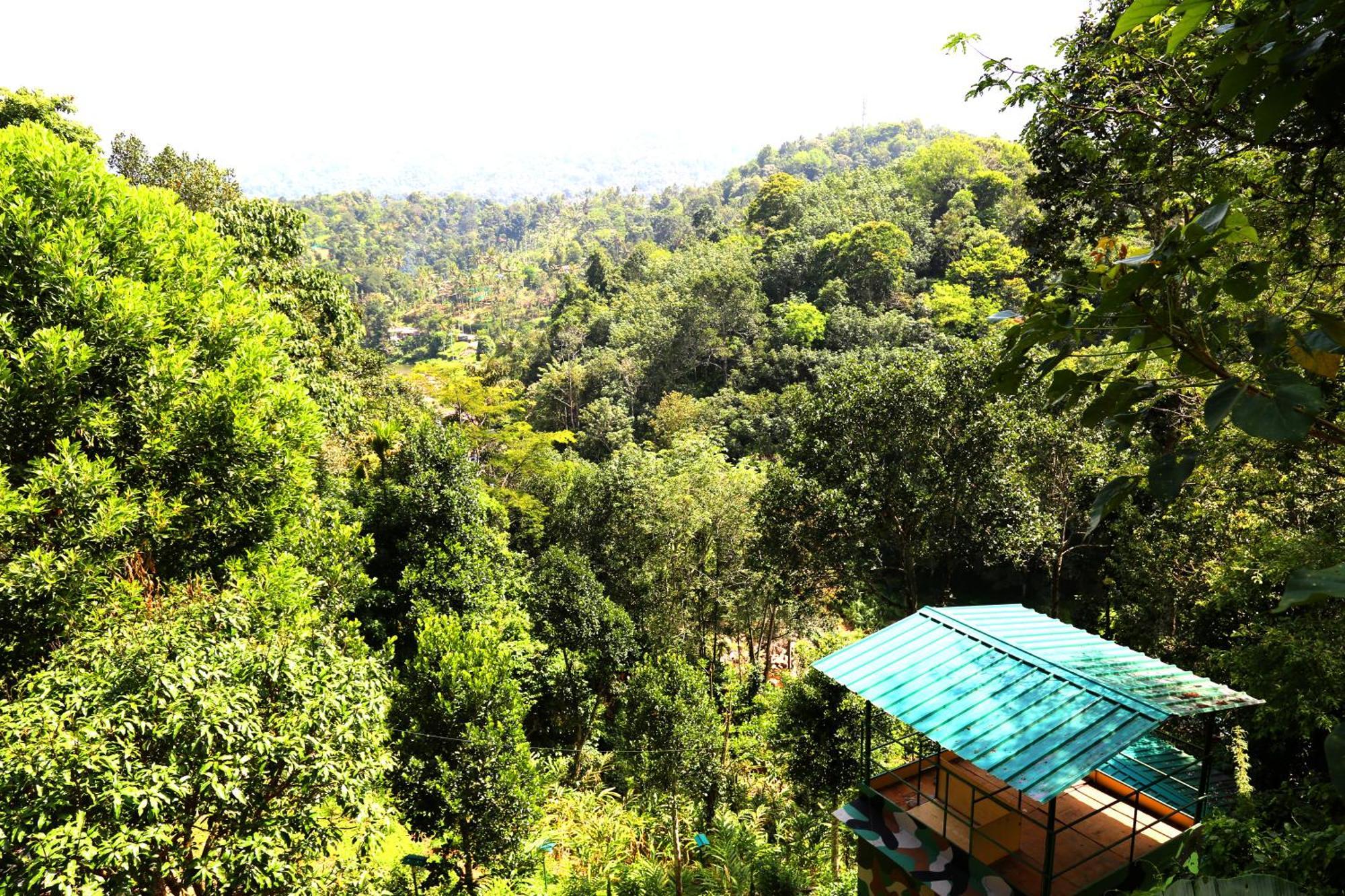 Green Magic Riverside Resort Munnar Esterno foto